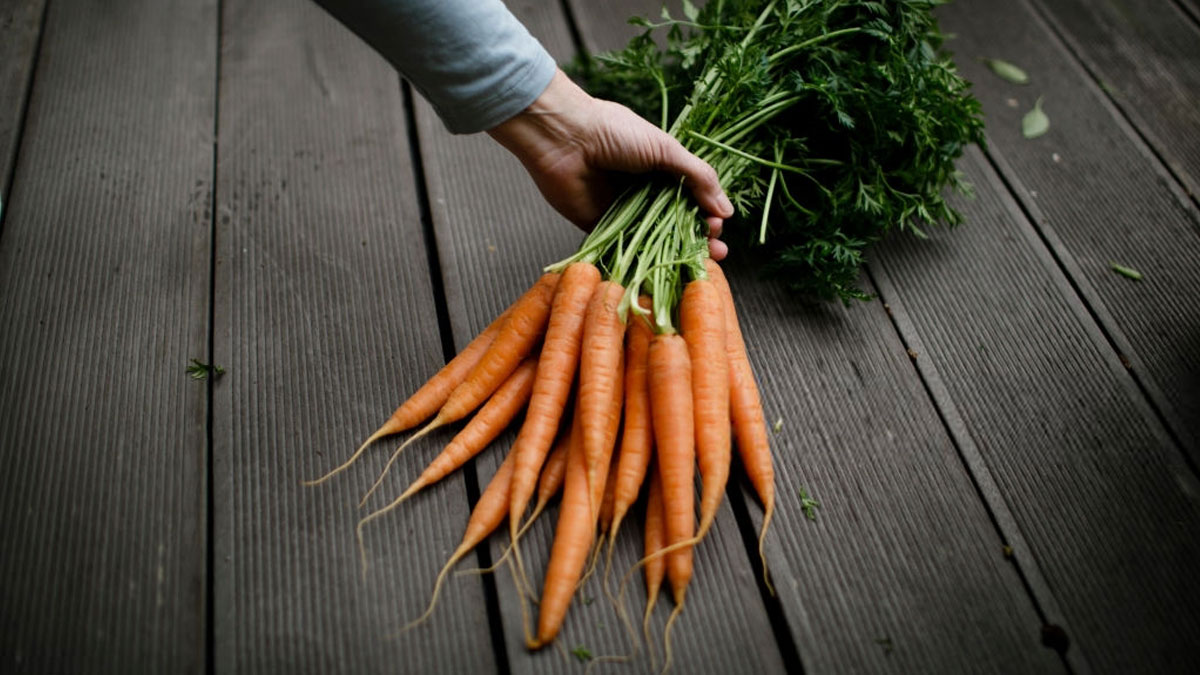 цена на морковь