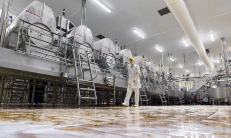 Производство молока в Украине