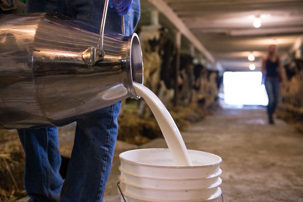 молоко производство