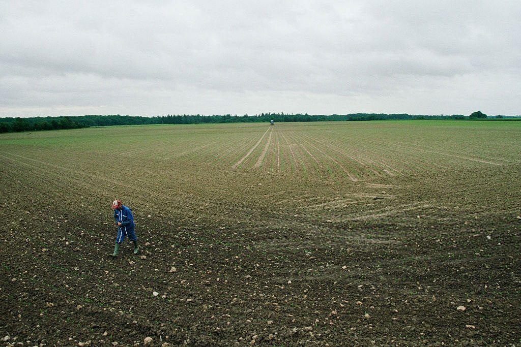 сельское хозяйство украины