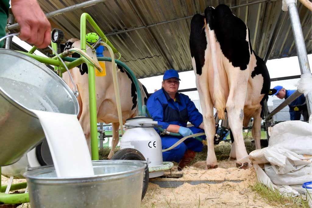 молоко в 2019 году цена