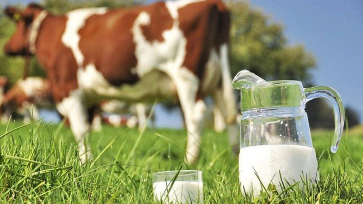 Ринок молока 2026