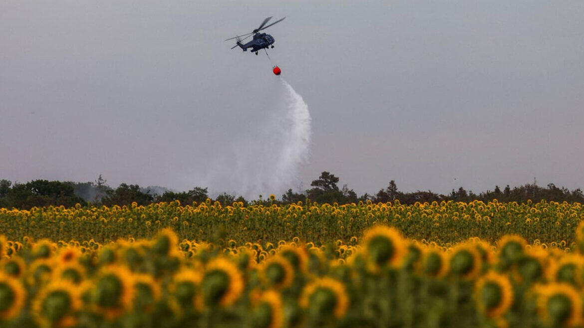 Екстремальна погода і ціни на їжу